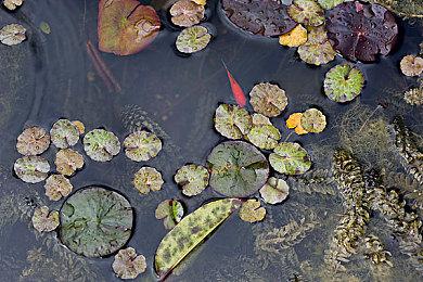 莫比斯风独立冒险游戏《沙贝》将于今年年底登陆PS5